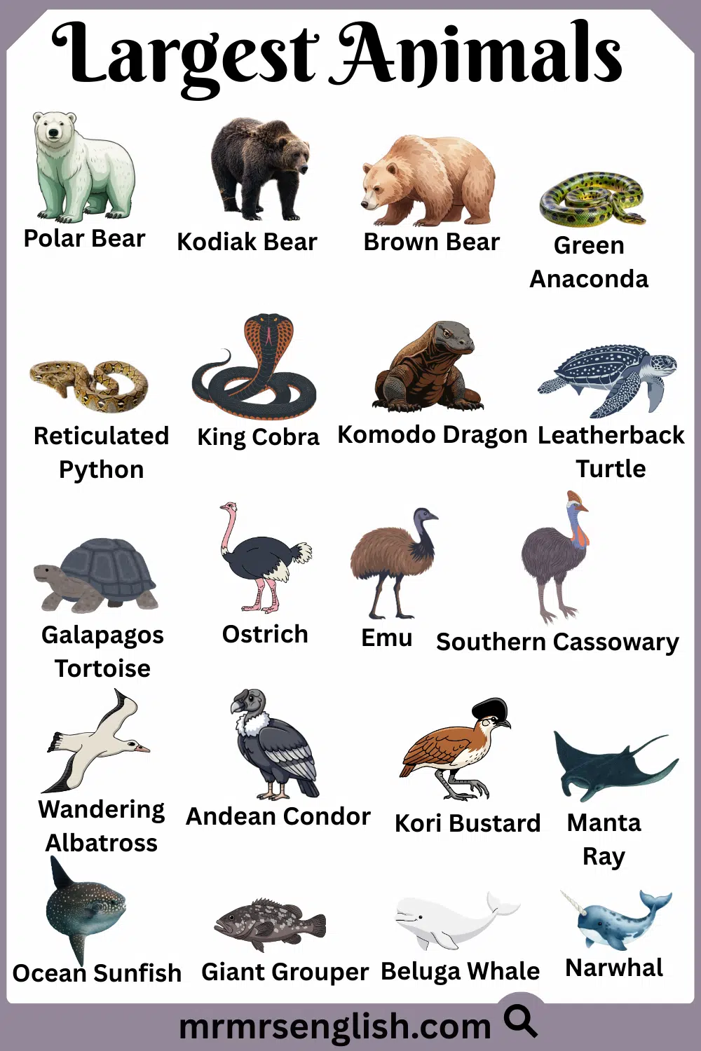 List of Largest Animals Names with Types and Images