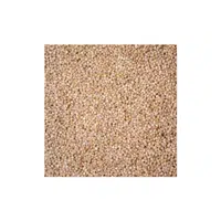 Little Millet | Cereals Names 