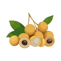 Longan | Small Fruits Names