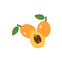 Loquat | Small Fruits Names