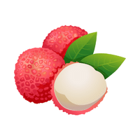 Lychee | Small Fruits Names