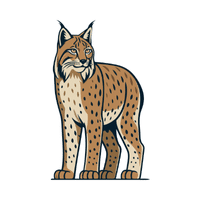 Lynx | Carnivorous Animals Names