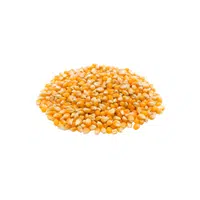Maize | Cereals Names