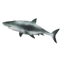 Mako Shark | Carnivorous Animals Names