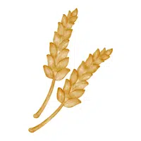 Malt 