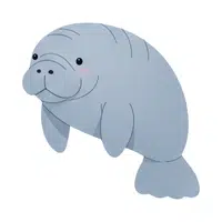 Manatee | Endangered Animals Names