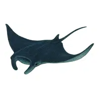 | Largest Animals Names