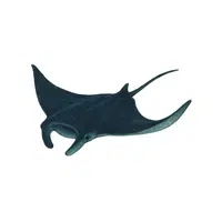 Manta Ray | Swimming Animals Names