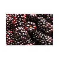 Marionberry | Small Fruits Names