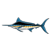 Marlin | Carnivorous Animals Names