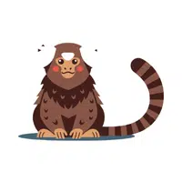 Marmoset | Friendly Animals Names