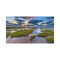 Marsh | Landforms Names 