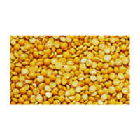 Mild Lentils | Lentils Names