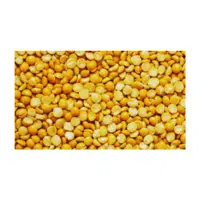 Mild Lentils | Lentils Names