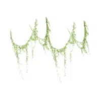 Moss | 100 Natural Things Names