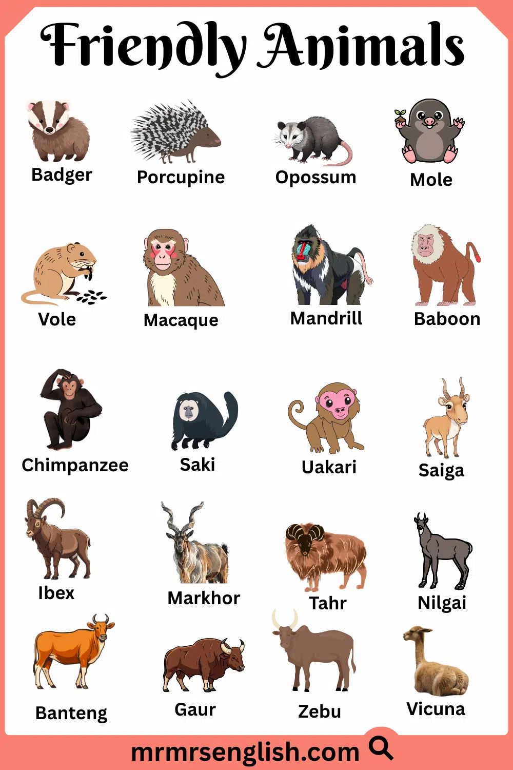 Most Common Friendly Animals with Names and Pictures