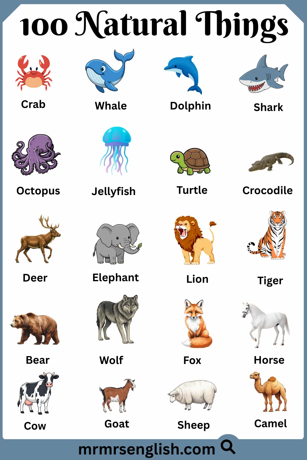 Most Common Natural Things Names with Pictures