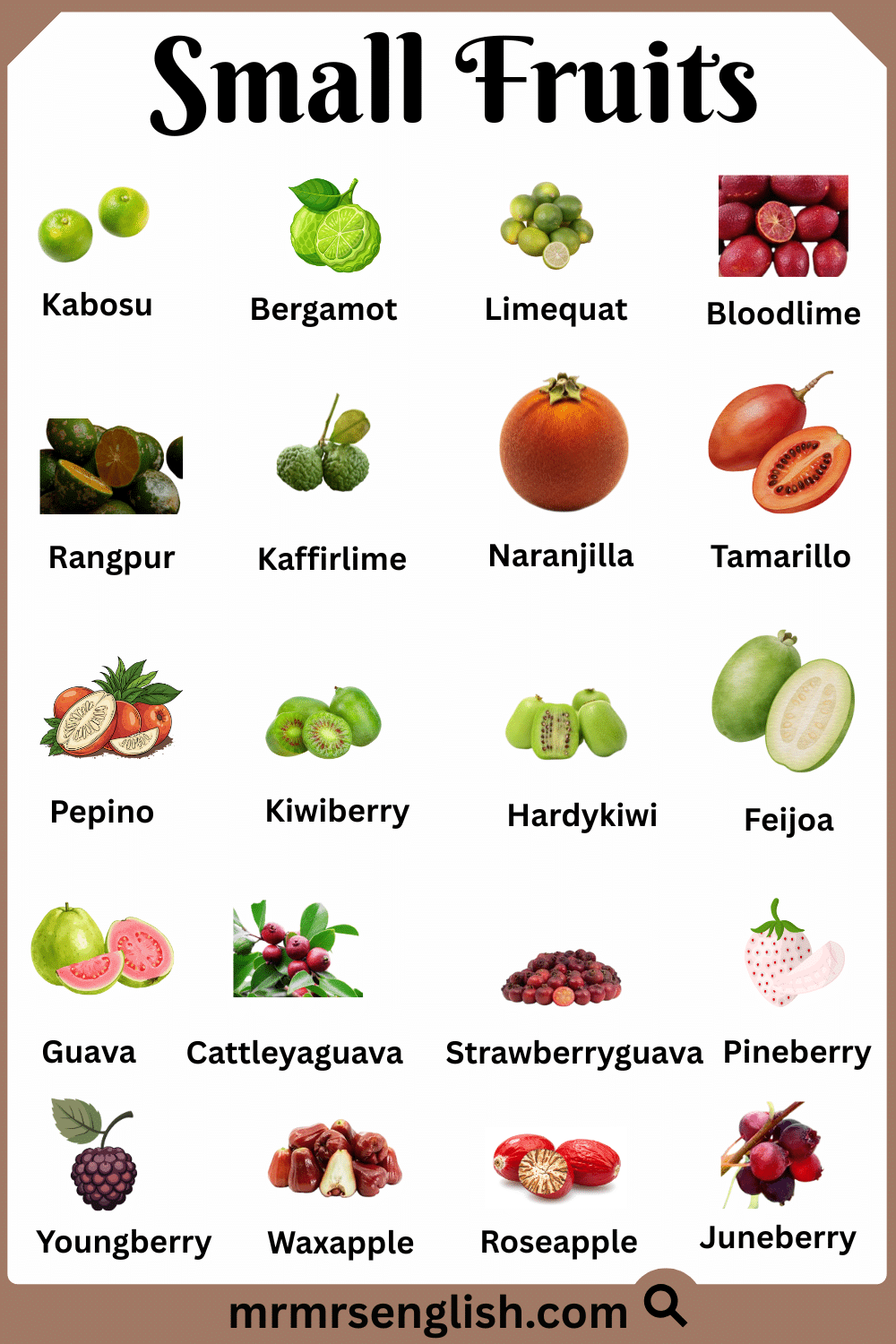 Most Common Small Fruits Names with Pictures