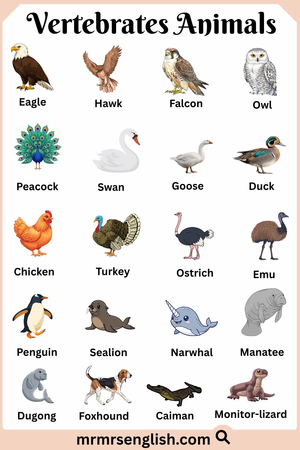 Most Common Vertebrates Animals Names and Images