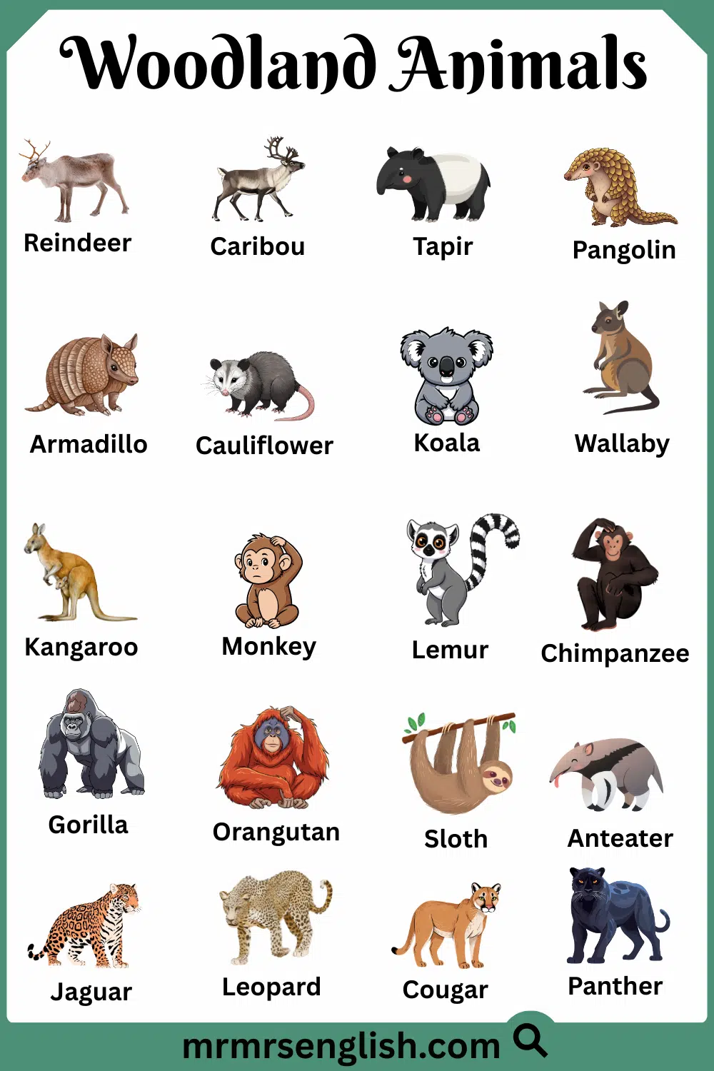 Most Common Woodland Animals Names with Pictures