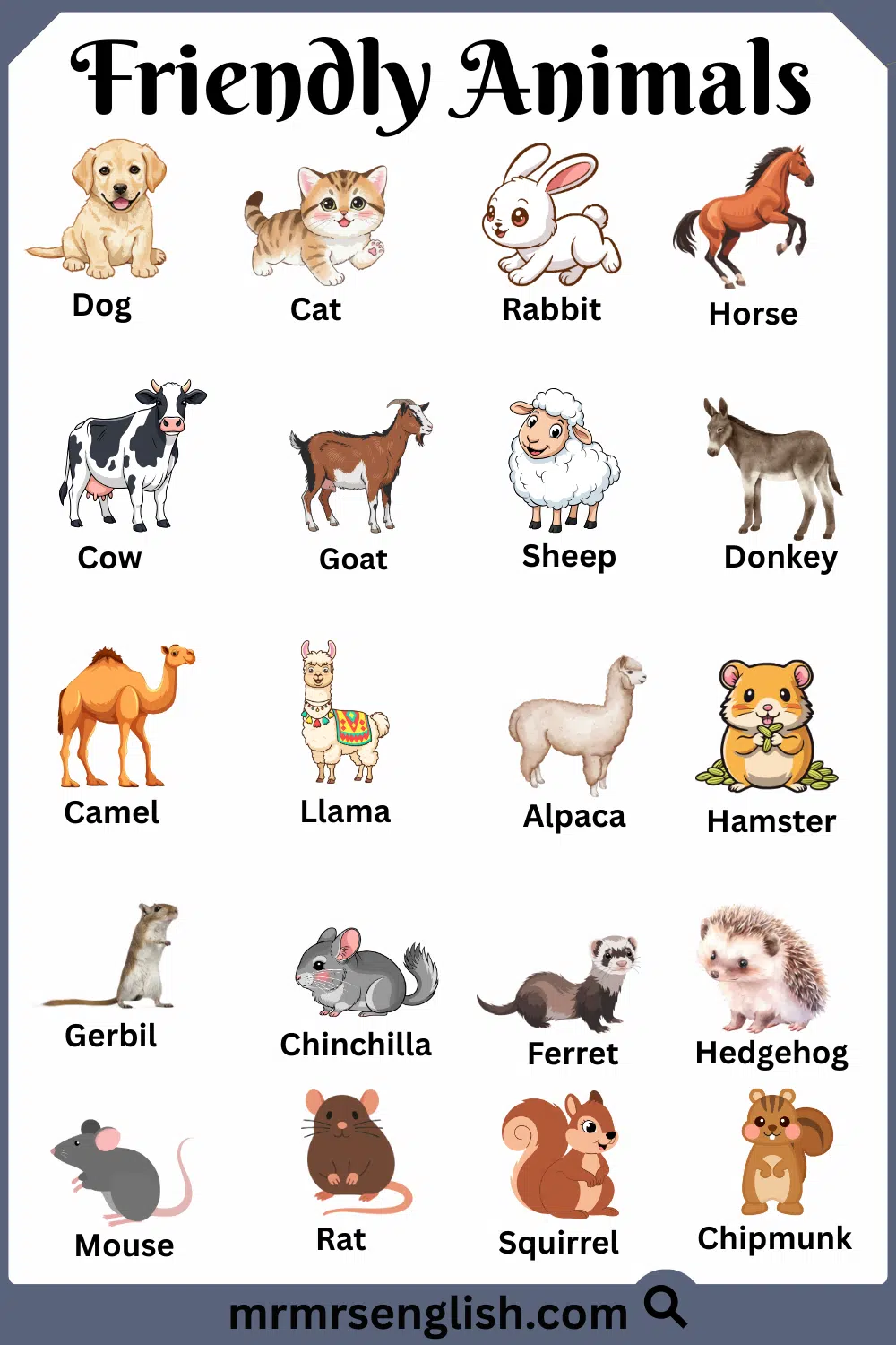 Most Friendly Animals to Humans with Names and Pictures