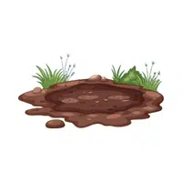 Mud | 100 Natural Things Names
