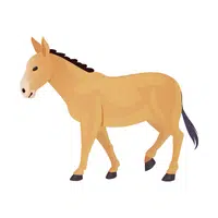 Mule | Friendly Animals Names