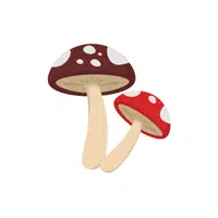 Mushroom | 100 Natural Things Names