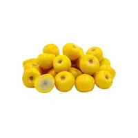 Nanceberry | Small Fruits Names