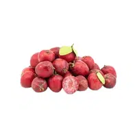 Natalplum | Small Fruits Names