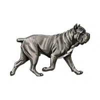 Neapolitan Mastiff | Guard Animals Names 