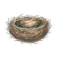 Nest | 100 Natural Things Names