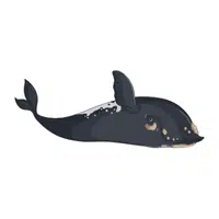 North Atlantic Right Whale | Endangered Animals Names