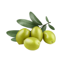 Olive | Small Fruits Names