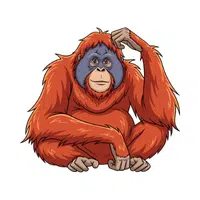 Orangutan | Vertebrates Animals Names 