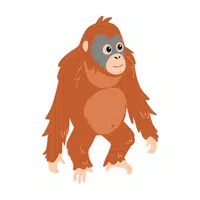 Orangutan | Friendly Animals Names