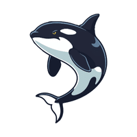 Orca | Carnivorous Animals Names