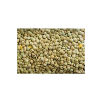 Organic Lentils | Lentils Names