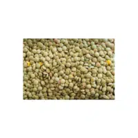 Organic Lentils | Lentils Names