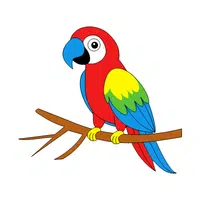 Parrot 