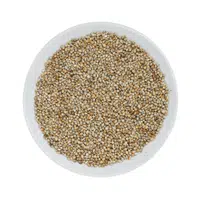 Pearl Millet | Cereals Names 