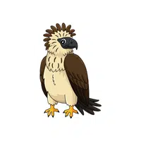 Philippine Eagle | Endangered Animals Names