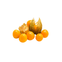 Physalis | Small Fruits Names