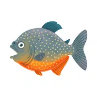 Piranha | Swimming Animals Names