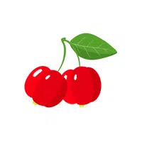 Pitanga | Small Fruits Names