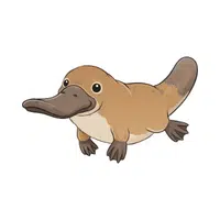 Platypus | Vertebrates Animals Names