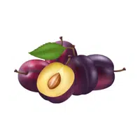Plum | Small Fruits Names 