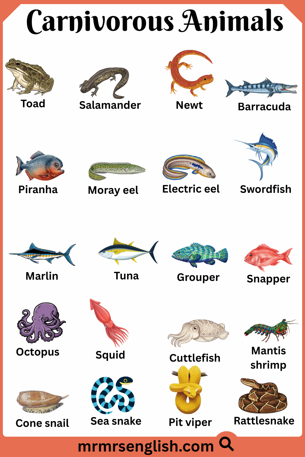 Popular Carnivorous Animals Names with Images