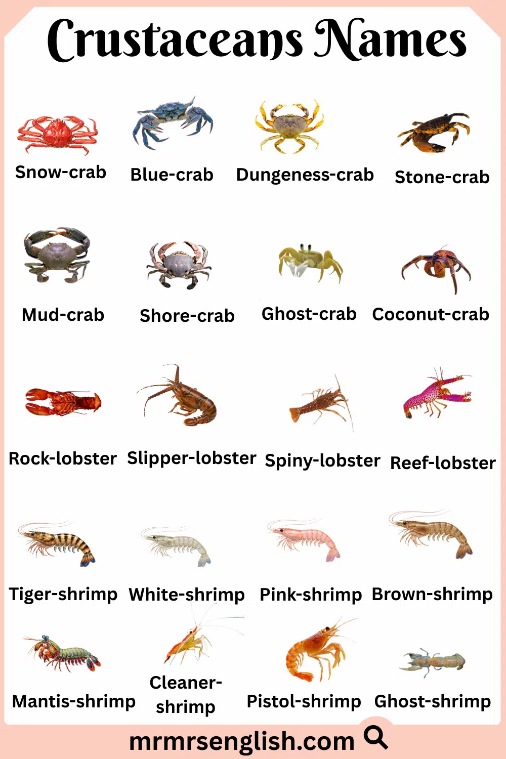 Popular Names of Crustaceans with Pictures