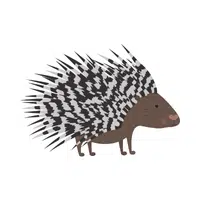 Porcupine